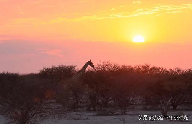 最炎热的国度,最佳精选数据资料_手机版24.02.60