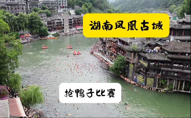 管家婆正版管家和凤凰古城百人抢鸭子与凤凰古城百人抢鸭子是真的吗