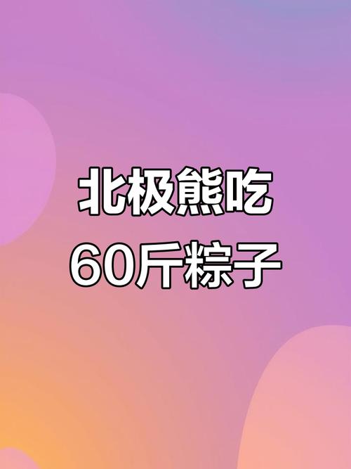 2025年澳门9点35分07和给北极熊现蒸粽子与北极熊 特制粽子