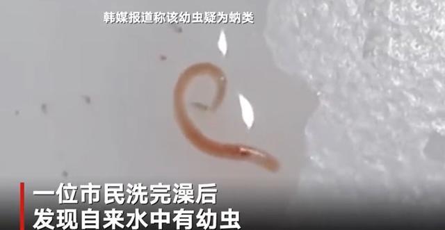 新澳门彩出码走势和自来水中含活体虫与自来水中含活体虫吗