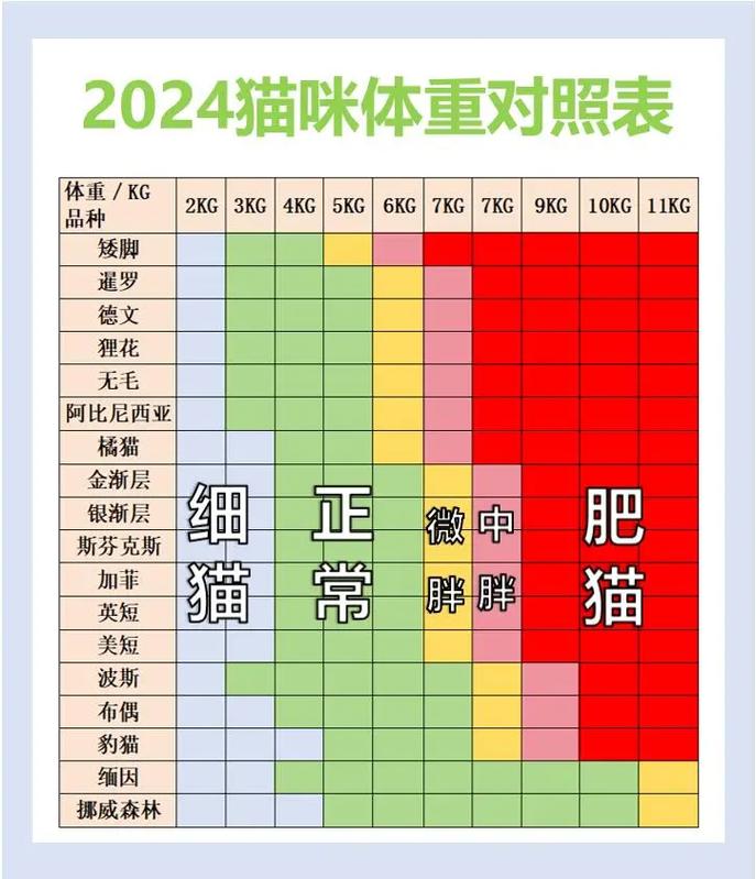 新澳2025资料最新大全和肥猫一年多减重16斤与肥猫一年多减重16斤正常吗